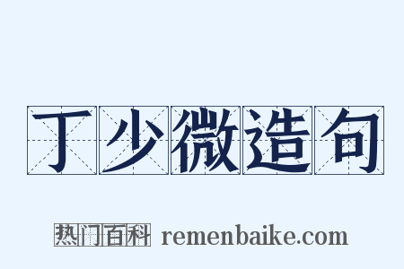 丁少微造句是什么意思的图片